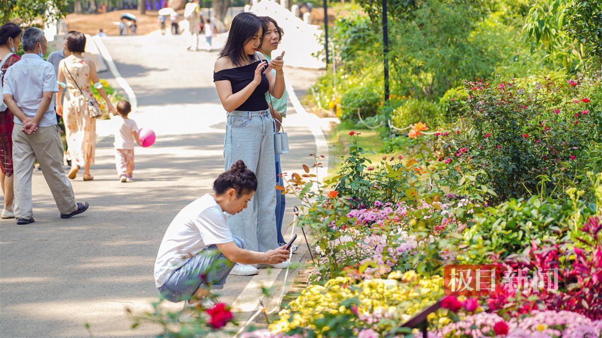 88集团登录
